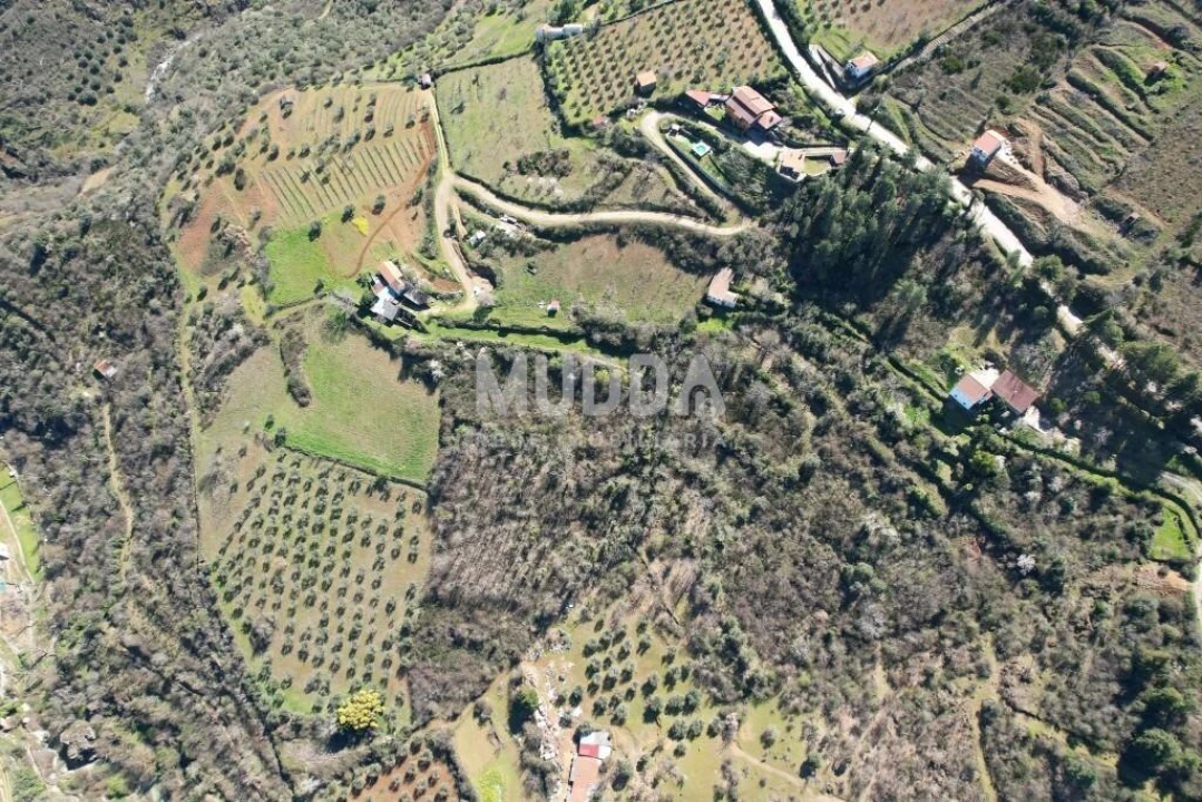 Terreno para Venda em Sé, Santa Maria e Meixedo Foto 21
