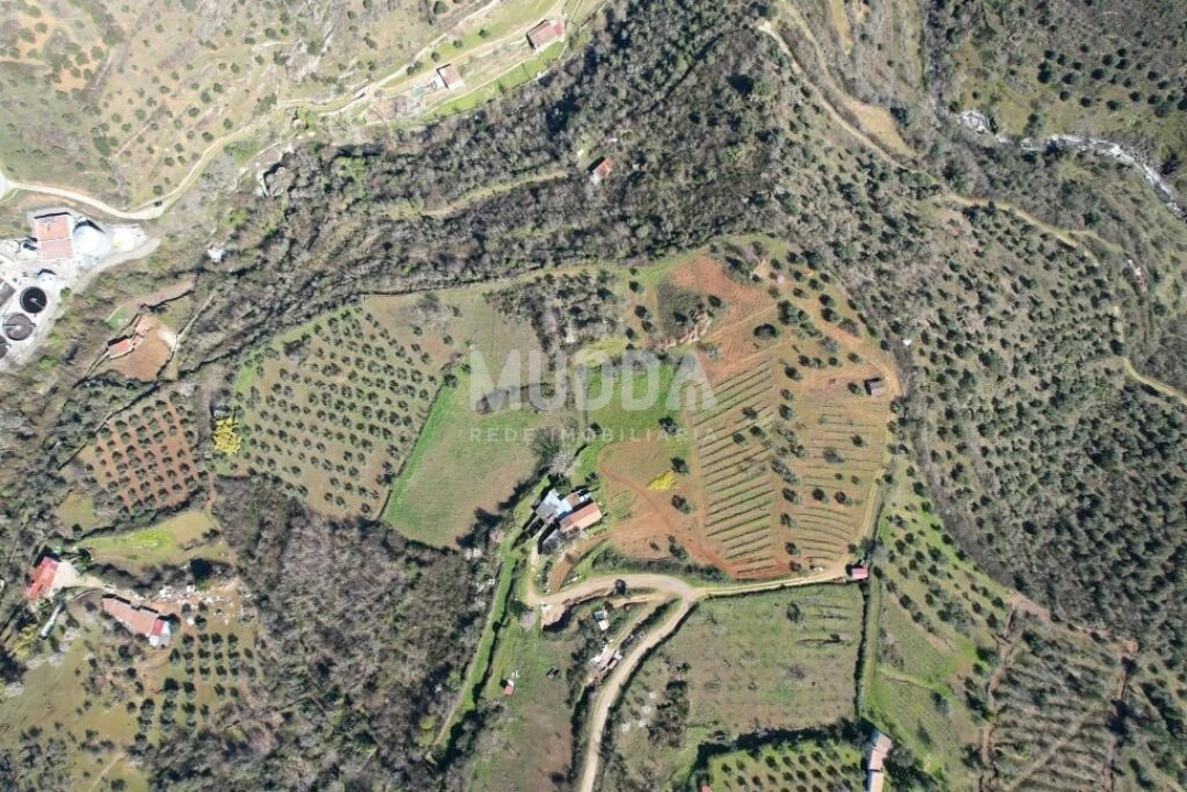 Terreno para Venda em Sé, Santa Maria e Meixedo Foto 19