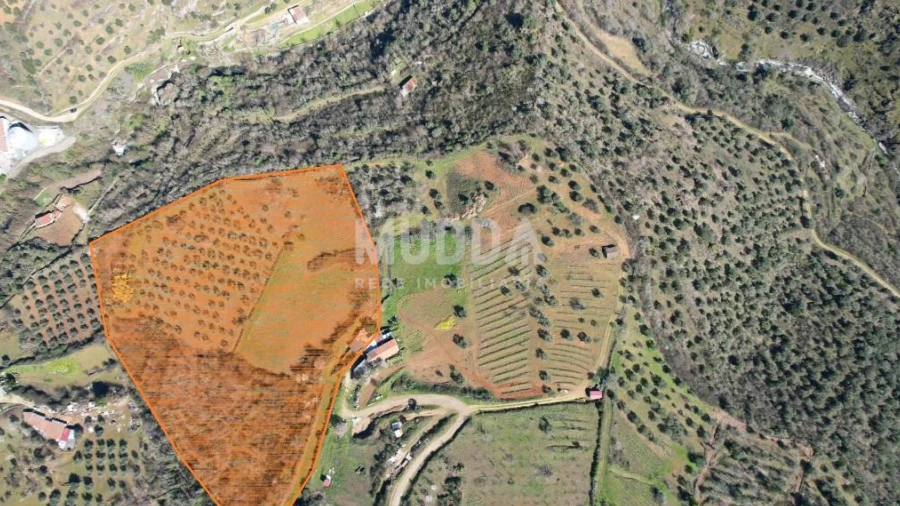 Terreno para Venda em Sé, Santa Maria e Meixedo