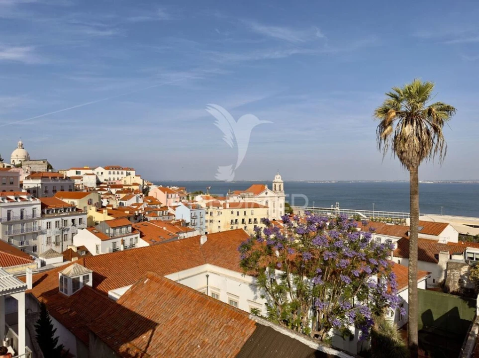 Apartamento T1 para Venda em Santa Maria Maior Foto 9
