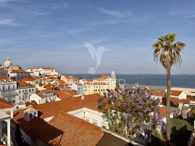 Apartamento T1 para Venda em Santa Maria Maior Foto 9