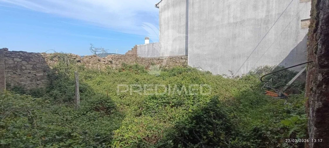 Terreno para Venda em Penamacor Foto 3