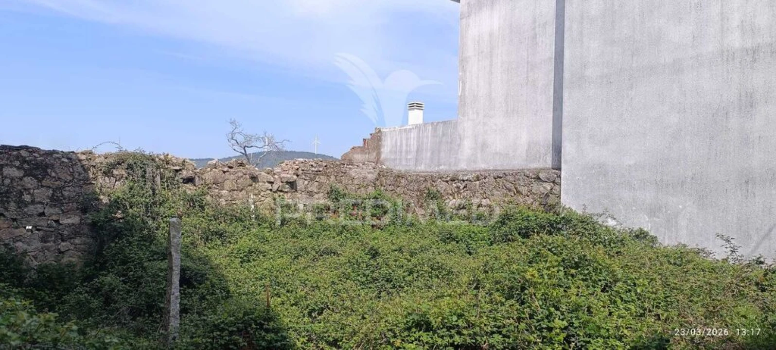 Terreno para Venda em Penamacor Foto 4