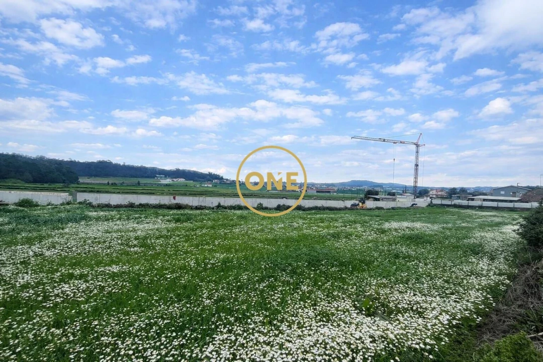 Terreno para Venda em Balazar Foto 6