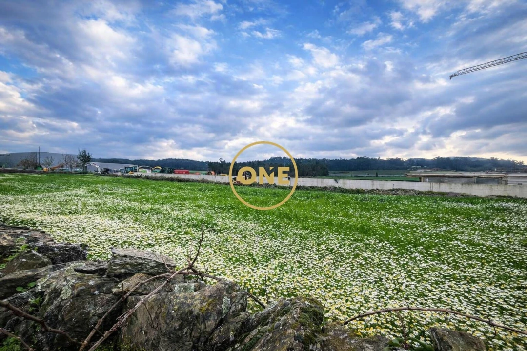 Terreno para Venda em Balazar Foto 3