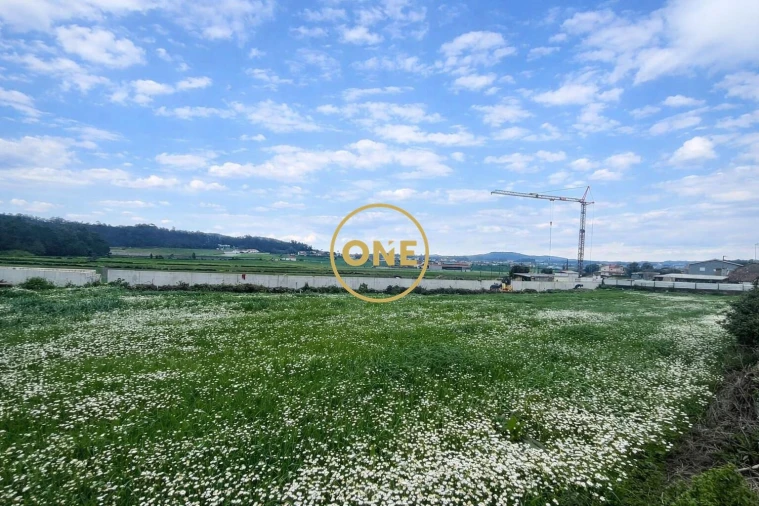 Terreno para Venda em Balazar Foto 6