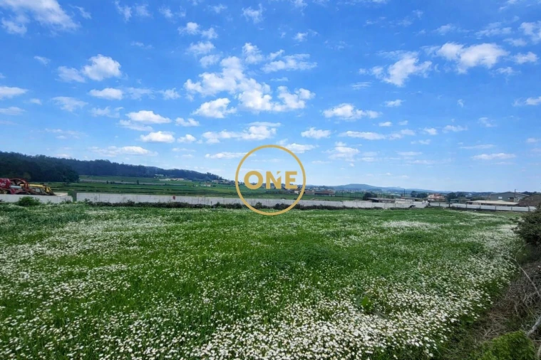 Terreno para Venda em Balazar Foto 4