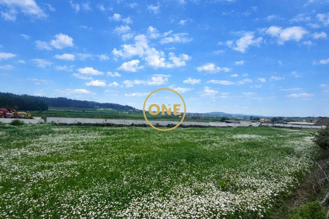 Terreno para Venda em Balazar Foto 4