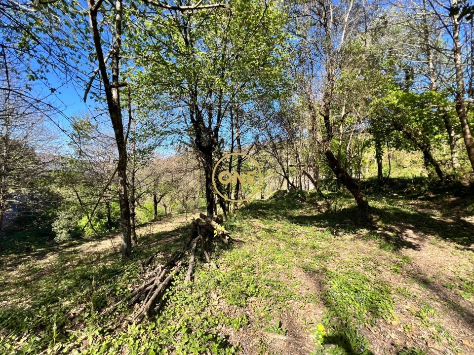 Terreno para Venda em Ribeira Foto 7