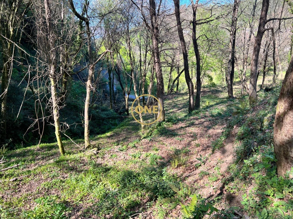 Terreno para Venda em Ribeira Foto 5