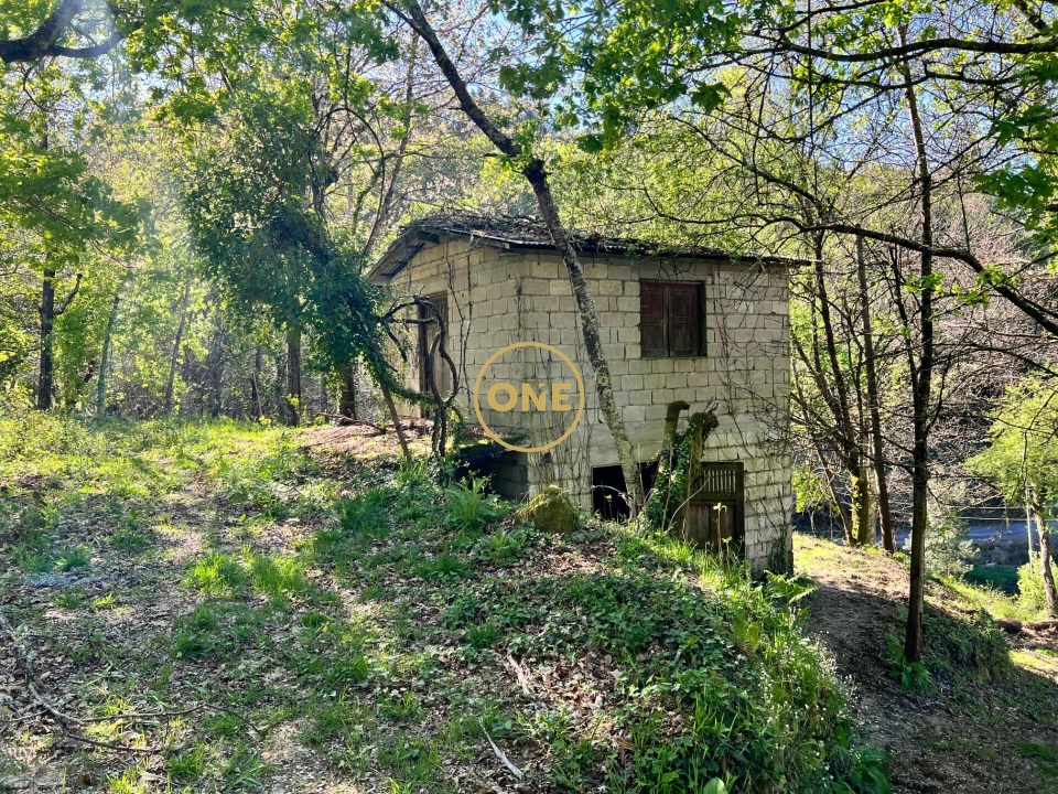 Terreno para Venda em Ribeira Foto 1