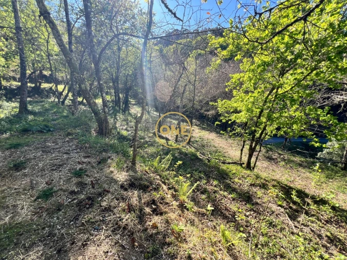 Terreno para Venda em Ribeira Foto 11
