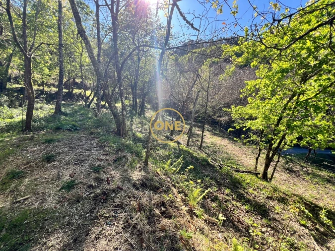 Terreno para Venda em Ribeira Foto 8