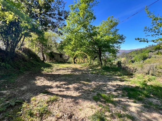 Terreno para Venda em Ribeira Foto 15