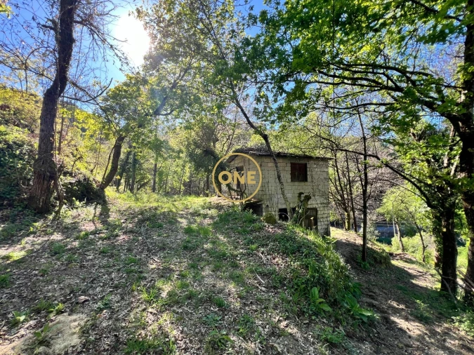 Terreno para Venda em Ribeira Foto 3