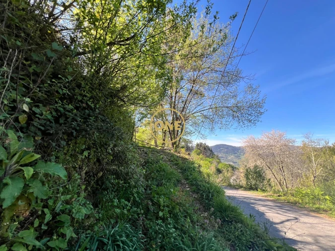 Terreno para Venda em Ribeira Foto 18