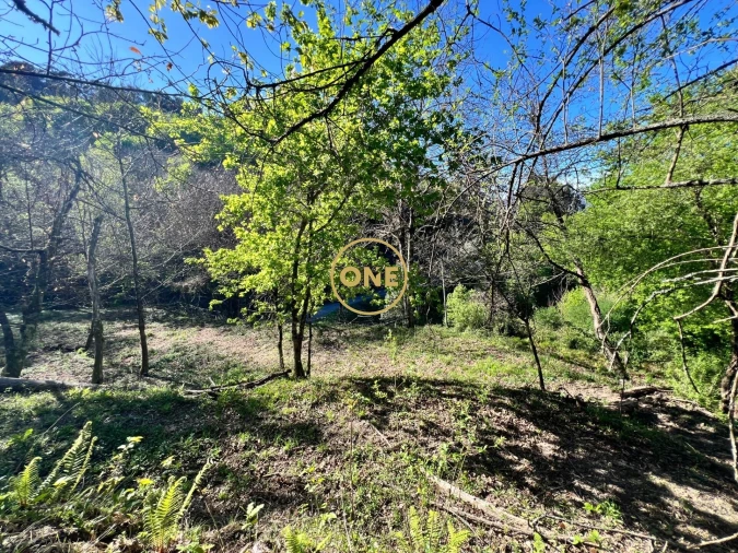 Terreno para Venda em Ribeira Foto 9