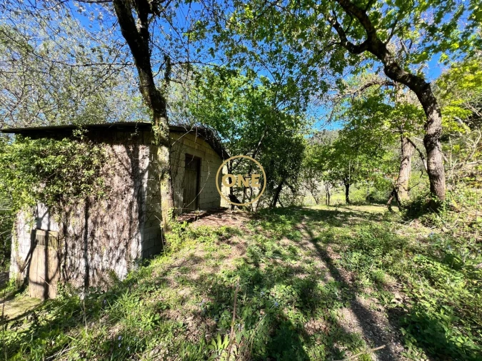 Terreno para Venda em Ribeira Foto 4