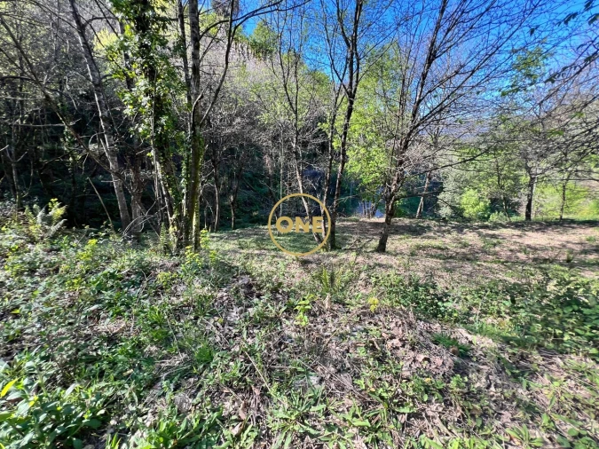 Terreno para Venda em Ribeira Foto 6