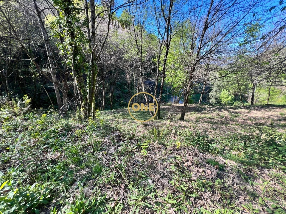 Terreno para Venda em Ribeira Foto 6