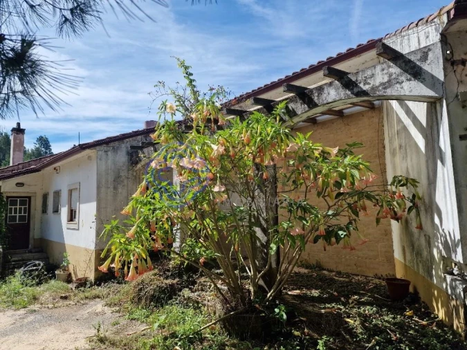 Negócio para Venda em Aguda Foto 3