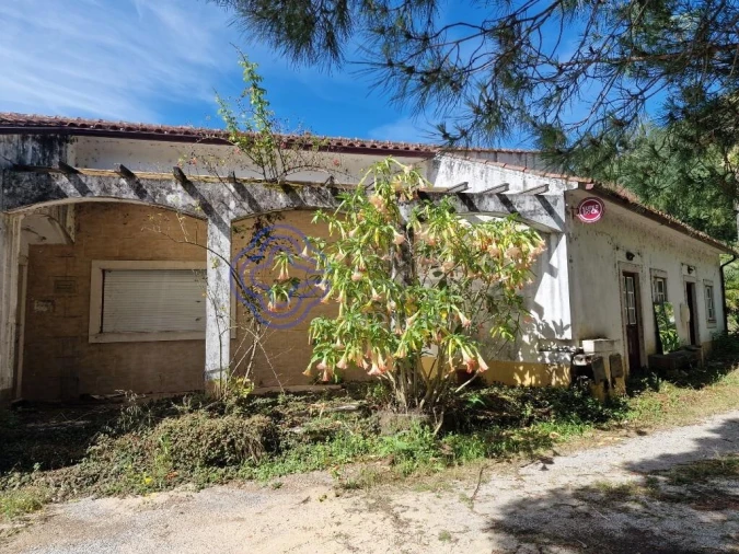 Negócio para Venda em Aguda Foto 2