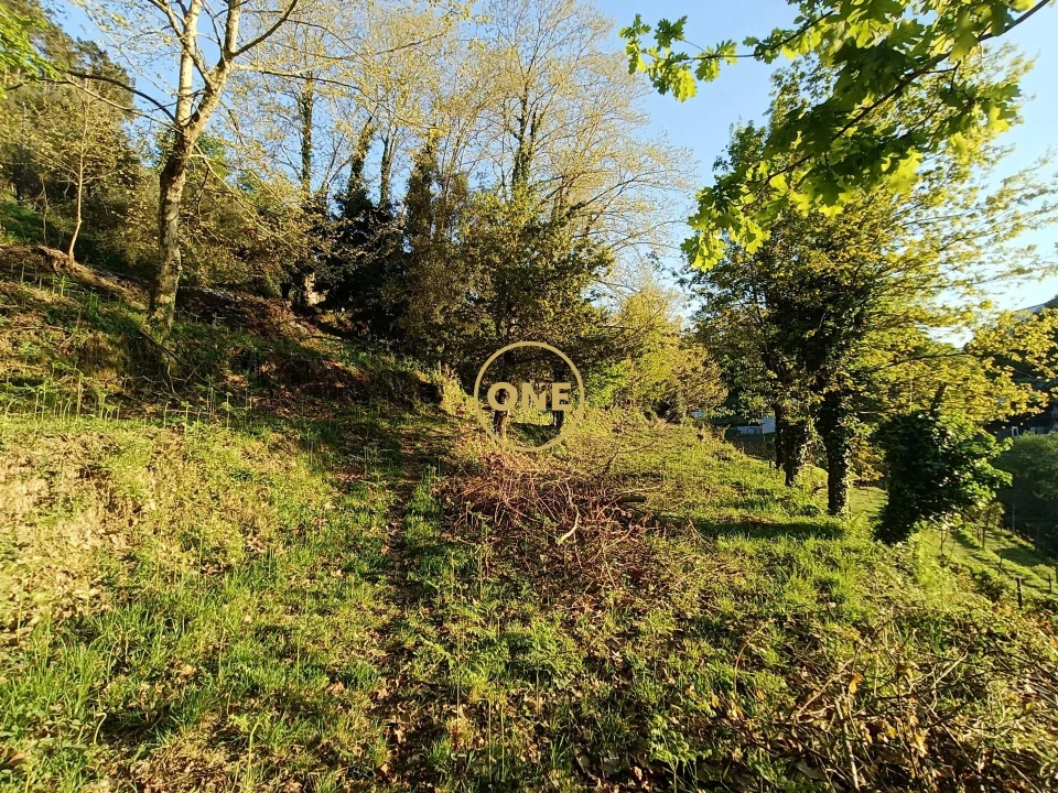 Terreno para Venda em Moimenta Foto 32