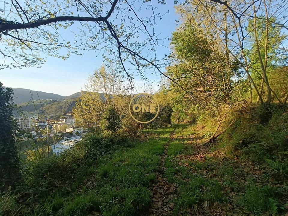 Terreno para Venda em Moimenta Foto 37