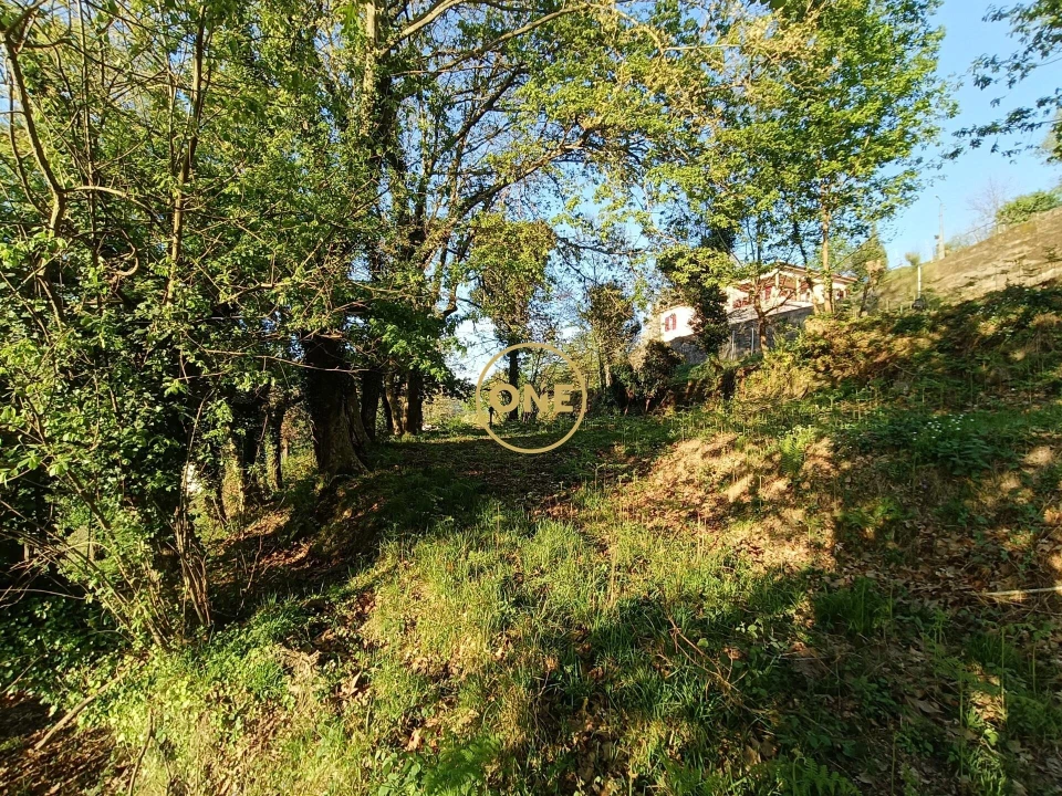 Terreno para Venda em Moimenta Foto 33