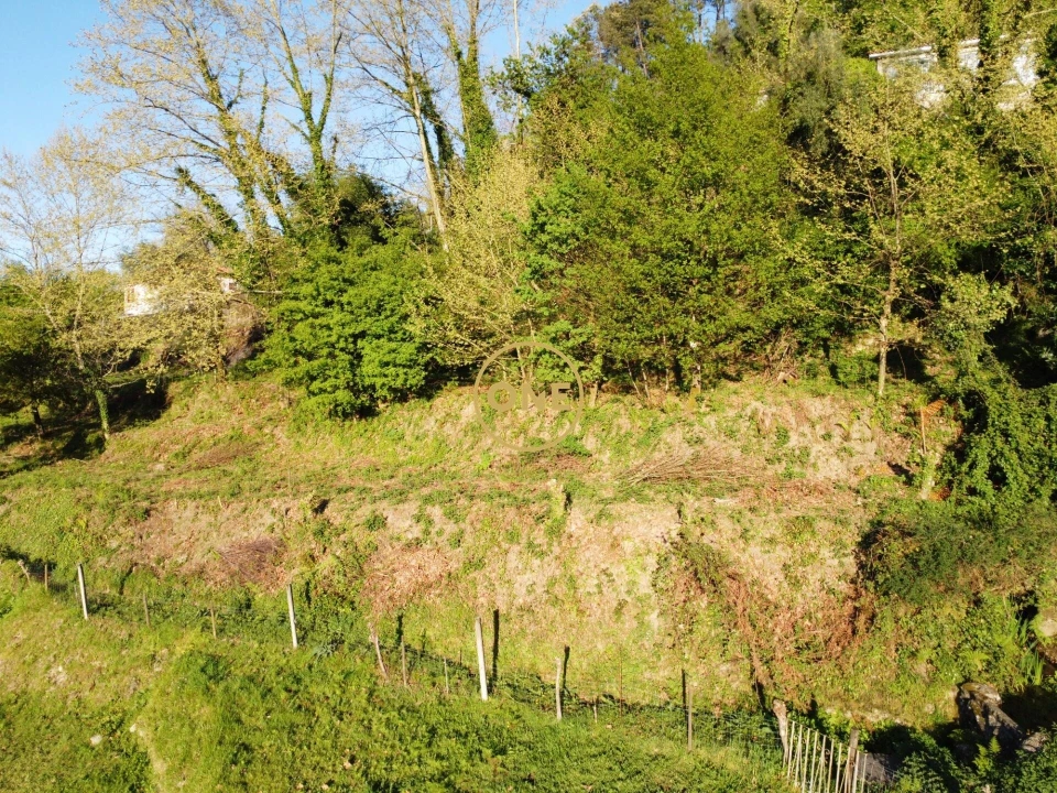 Terreno para Venda em Moimenta Foto 22
