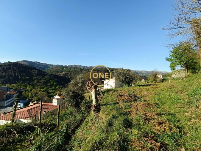 Terreno para Venda em Moimenta Foto 31