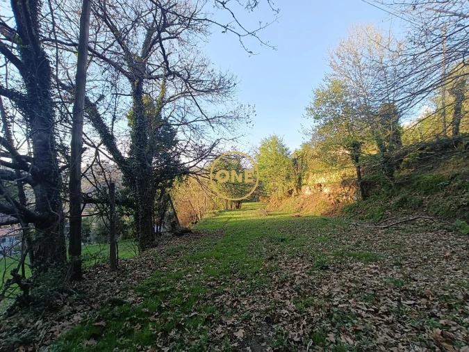 Terreno para Venda em Moimenta Foto 41