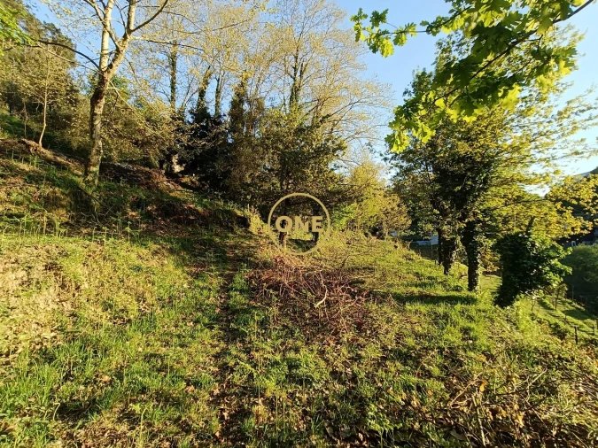 Terreno para Venda em Moimenta Foto 32