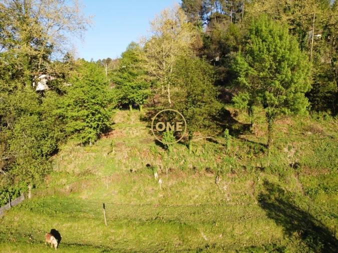 Terreno para Venda em Moimenta Foto 20