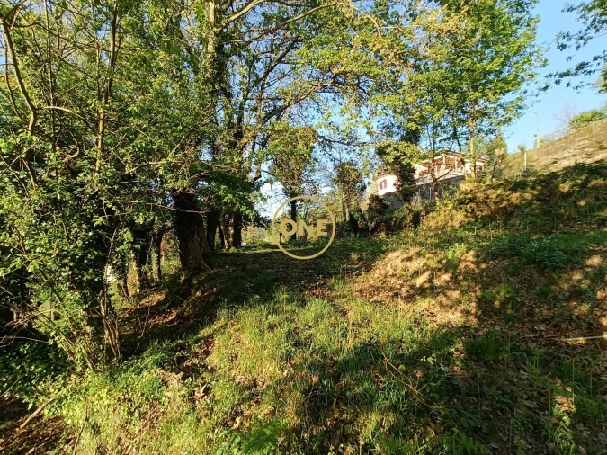 Terreno para Venda em Moimenta Foto 33