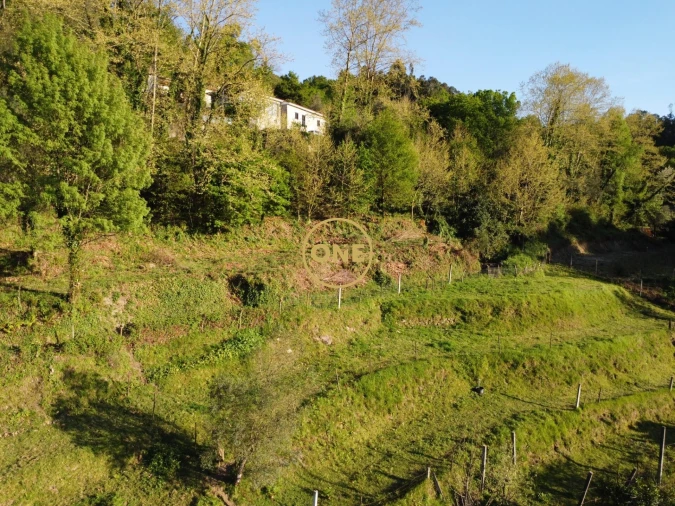 Terreno para Venda em Moimenta Foto 21