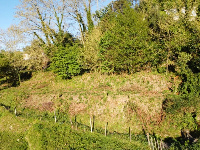 Terreno para Venda em Moimenta Foto 22
