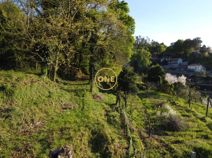 Terreno para Venda em Moimenta Foto 15