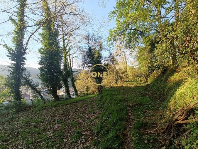 Terreno para Venda em Moimenta Foto 38