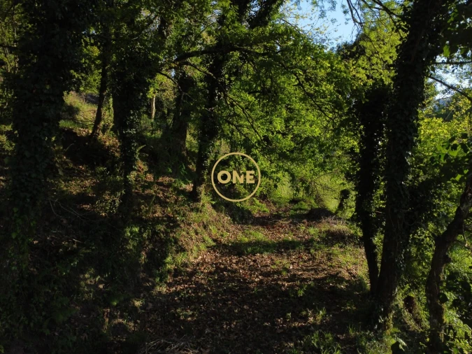 Terreno para Venda em Moimenta Foto 16