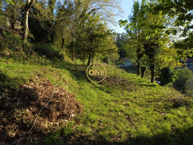 Terreno para Venda em Moimenta Foto 17