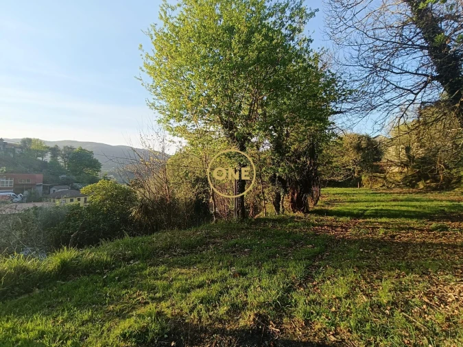 Terreno para Venda em Moimenta Foto 40