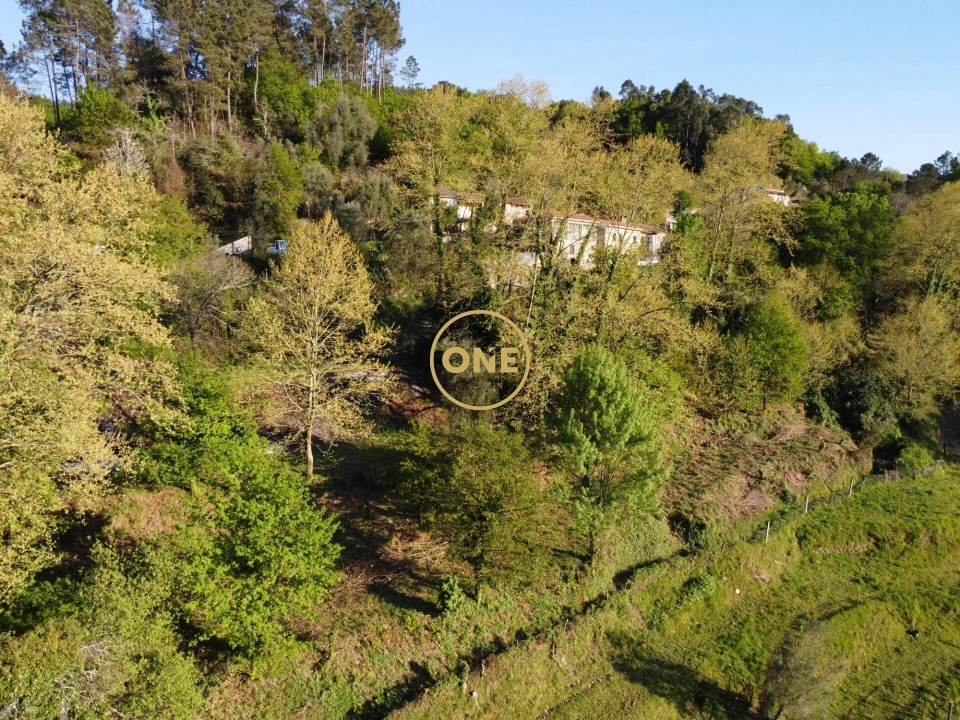 Terreno para Venda em Moimenta Foto 10