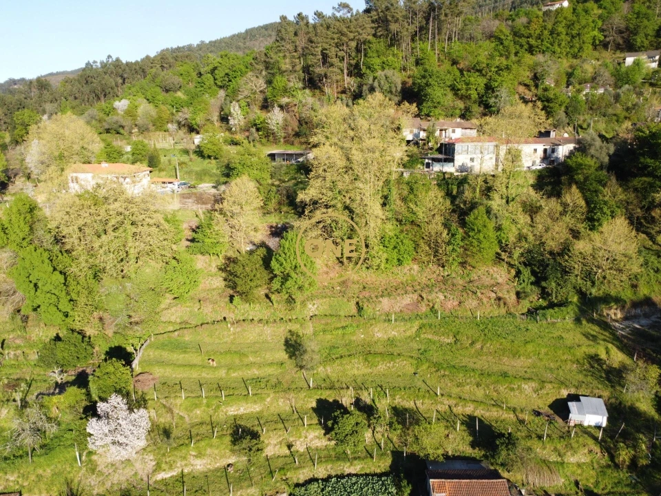 Terreno para Venda em Moimenta Foto 4