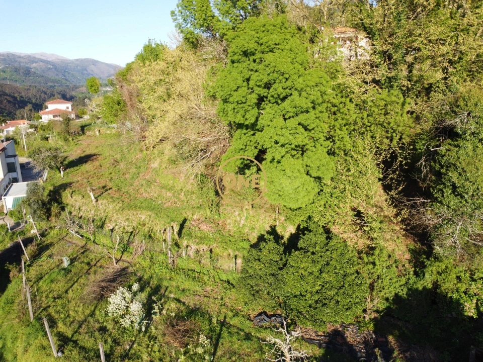 Terreno para Venda em Moimenta Foto 9