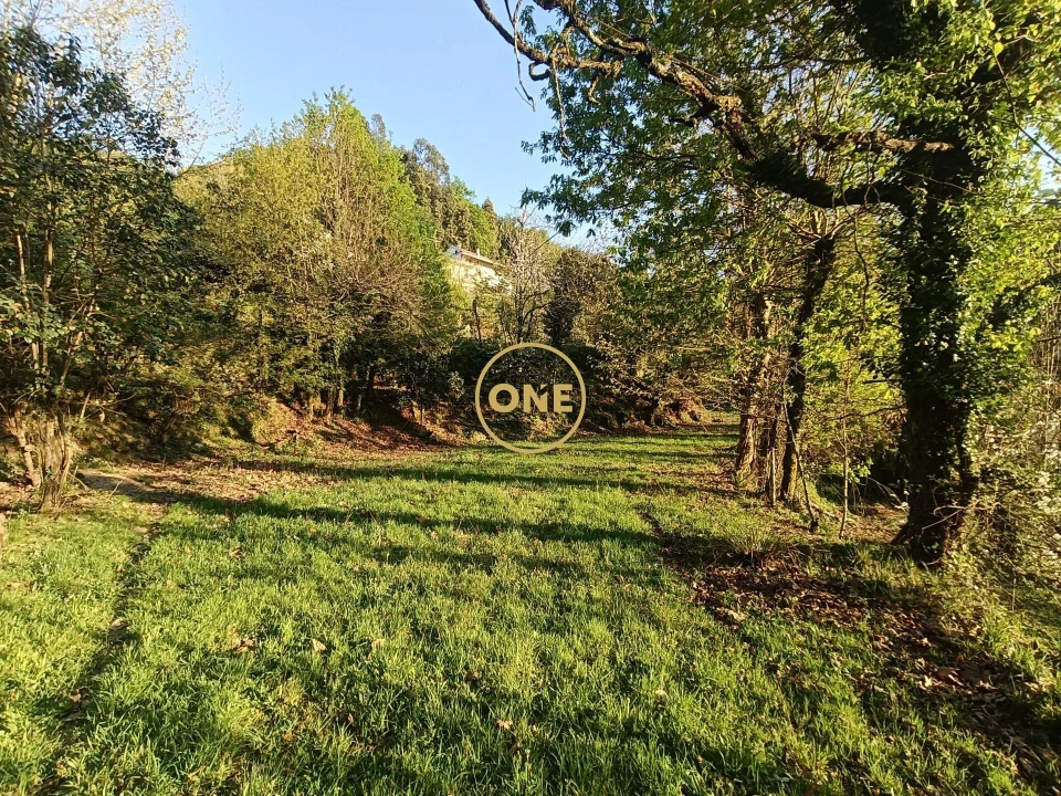 Terreno para Venda em Moimenta Foto 39