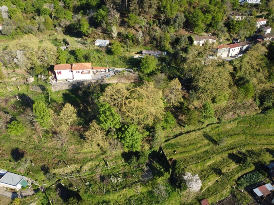 Terreno para Venda em Moimenta Foto 14