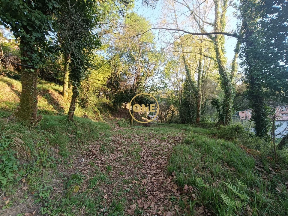 Terreno para Venda em Moimenta Foto 36