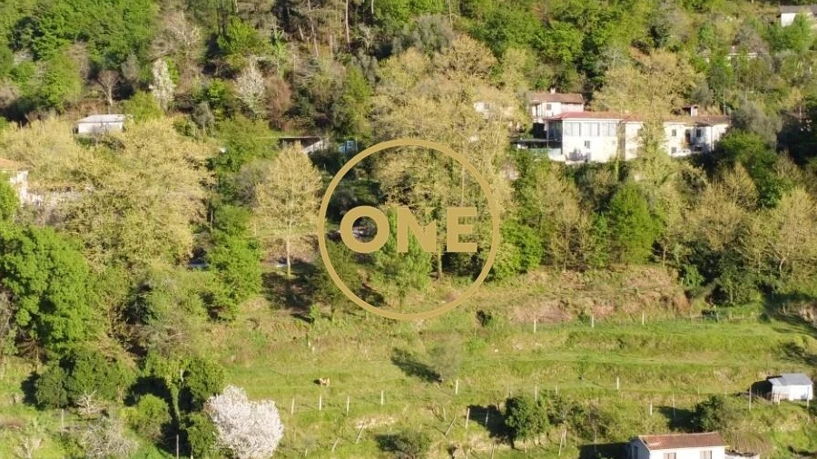 Terreno para Venda em Moimenta