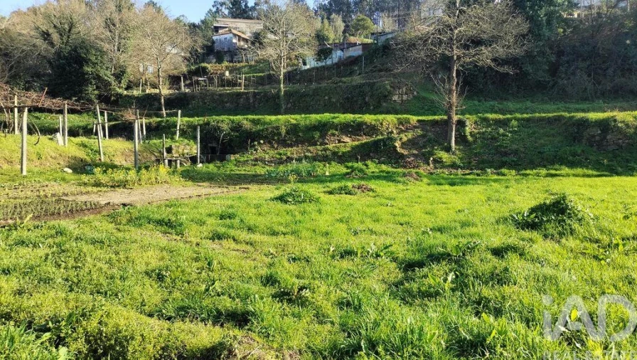 Terreno para Venda em Fonte Arcada Foto 12